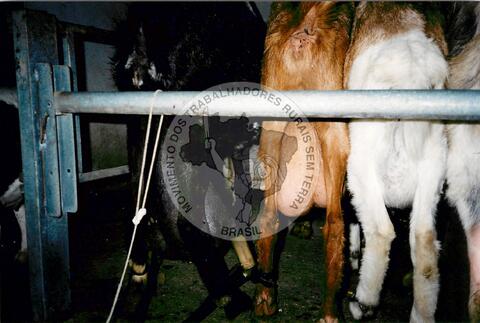 Original Document numérique not accessible