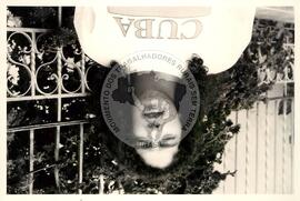 Marina dos Santos (Brasil, [sem data]) [fotografia] / Fotógrafo(a) : Paulo Lima. -- Ref.: BR-SPMST_MST-SN-CIN_AMP_001314-010773-LID.