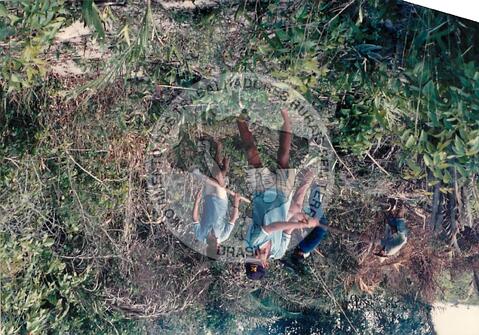 Original Digitaal object not accessible