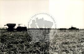 Assentamento do MST [sem identificação] (Chapecó-SC, ago. 1995) [fotografia] / Fotógrafo(a) : Débora Lerrer. -- Ref.: BR-SPMST_MST-SN-CIN_AMP_000194-001398-ASS.