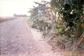 Viagem de Joelson, Ênio e João Pedro (Ásia, 1996) [fotografia] / Fotógrafo(a) : Lito Ocampo. -- Ref.: BR-SPMST_MST-SN-CIN_AMP_001137-009454-RIT.