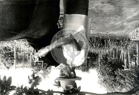 Original Document numérique not accessible