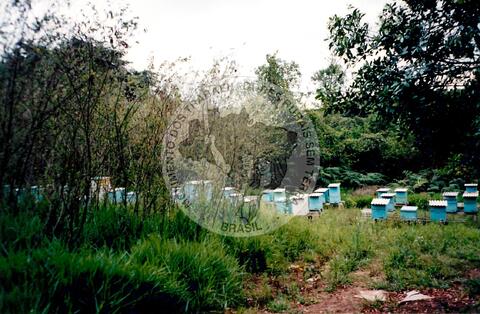 Original Digitaal object not accessible