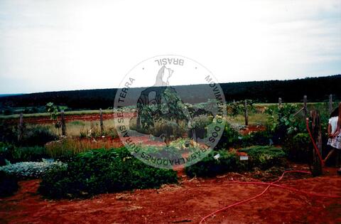 Original Digitaal object not accessible