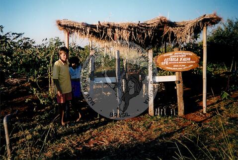 Original Digitaal object not accessible