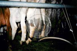 Viagem de Luiz Roberto para Espanha (Ilhas Canárias (Espanha), 31 jan. 2001) [fotografia] / Fotógrafo(a) : Arquivo MST. -- Ref.: BR-SPMST_MST-SN-CIN_AMP_001119-009241-RIT.