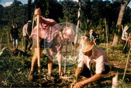 Ocupação da Fazenda Estélia (Santa Catarina, [sem data]) [fotografia] / Fotógrafo(a) : Arquivo MST ; Dirceu P. Vieira. -- Ref.: BR-SPMST_MST-SN-CIN_AMP_001839-014025-OCU.