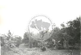 Assentamento "Nossa Senhora do Rosário" do MST (Corte Grande-SP, [sem data]) [fotografia] / Fotógrafo(a) : Arquivo MST. -- Ref.: BR-SPMST_MST-SN-CIN_AMP_000352-001693-ASS.