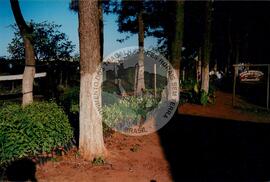 Assentamento "Ribeirão Bonito"do MST (Rio Grande do Sul, [sem data]) [fotografia] / Fotógrafo(a) : Arquivo MST. -- Ref.: BR-SPMST_MST-SN-CIN_AMP_000186-001322-ASS.