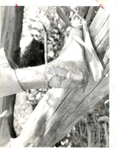 Original Objeto digital not accessible