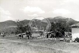 Cooperativa "Quita Sueno" (Honduras, [sem data]) [fotografia] / Fotógrafo(a) : Mara. -- Ref.: BR-SPMST_MST-SN-CIN_AMP_001107-009162-RIT.
