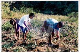 Curso Prolongado região sudeste - CIDAP (São Matheus-ES, ago. 2000) [fotografia] / Fotógrafo(a) : Leticia Barqueta. -- Ref.: BR-SPMST_MST-SN-CIN_AMP_000822-005431-CUR.