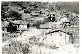 Assentamento "Novo Cruzeiro" do MST (Minas Gerais, mai. 1989) [fotografia] / Fotógrafo(a) : Douglas Mansur. -- Ref.: BR-SPMST_MST-SN-CIN_AMP_000333-001601-ASS.
