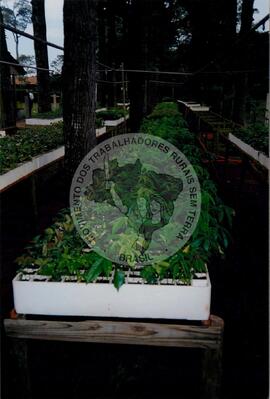 Assentamento "Ribeirão Bonito"do MST (Rio Grande do Sul, [sem data]) [fotografia] / Fotógrafo(a) : Arquivo MST. -- Ref.: BR-SPMST_MST-SN-CIN_AMP_000186-001326-ASS.