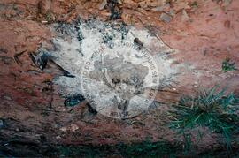 Curso de Militantes de Base do Conesul, 3o (Glória dos Dourados-MS, 02 a 05 mai.) [fotografia] / Fotógrafo(a) : Arquivo MST. -- Ref.: BR-SPMST_MST-SN-CIN_AMP_000863-005965-CUR.