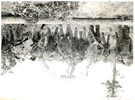 Despejo posseiros da Fazenda São Luiz (Boitaporã-MS, [sem data]) [fotografia] / Fotógrafo(a) : Arquivo MST. -- Ref.: BR-SPMST_MST-SN-CIN_AMP_001784-012931-VPP.