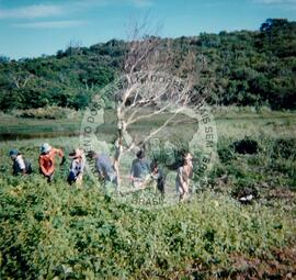 Acampamento "Palmeiras das Missões" do MST (Rio Grande do Sul, set. 1989) [fotografia] / Fotógrafo(a) : Volnei Manfron. -- Ref.: BR-SPMST_MST-SN-CIN_AMP_000085-000680-ACP.
