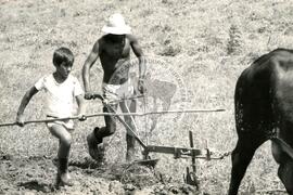 Assentamento "Atrol" do MST (Sergipe, 17 jun. 1986) [fotografia] / Fotógrafo(a) : Milton Soares. -- Ref.: BR-SPMST_MST-SN-CIN_AMP_000343-001640-ASS.