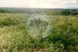 Assentamento "Fazenda Marrecas" do MST (São João-PI, 10 jun. 1989) [fotografia] / Fotógrafo(a) : Arquivo MST. -- Ref.: BR-SPMST_MST-SN-CIN_AMP_000340-001626-ASS.
