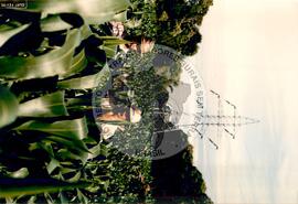 Assentamento "25 de Maio" do MST (Ponte Serrada-SC, fev. 1988) [fotografia] / Fotógrafo(a) : Arquivo MST. -- Ref.: BR-SPMST_MST-SN-CIN_AMP_000191-001362-ASS.