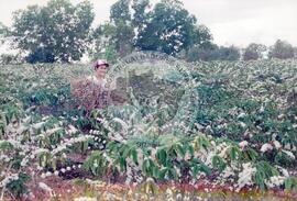 Curso Prolongado região sudeste - CIDAP (São Matheus-ES, ago. 2000) [fotografia] / Fotógrafo(a) : Leticia Barqueta. -- Ref.: BR-SPMST_MST-SN-CIN_AMP_000822-005447-CUR.