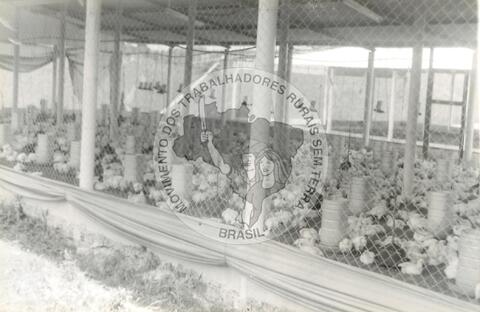 Original Digitaal object not accessible