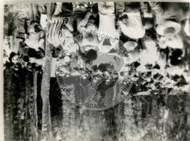 Ocupação de 2.700 famílias (Campo Erê-SC, 30 nov. 1987) [fotografia] / Fotógrafo(a) : Arquivo MST. -- Ref.: BR-SPMST_MST-SN-CIN_AMP_001828-013904-OCU.