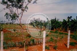 Curso de Agricultura Sustentável (Cuba, 1997) [fotografia] / Fotógrafo(a) : Arquivo MST. -- Ref.: BR-SPMST_MST-SN-CIN_AMP_001040-008276-RIT.