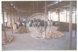 Intercâmbio com a UNAC (Moçambique, ago. 2000) [fotografia] / Fotógrafo(a) : Arquivo MST. -- Ref.: BR-SPMST_MST-SN-CIN_AMP_001093-008928-RIT.