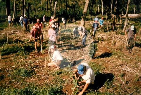 Original Objeto digital not accessible