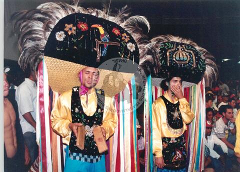 Original Digitaal object not accessible