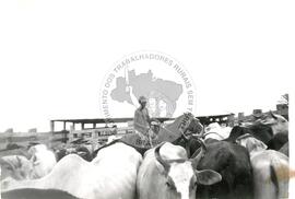 Assentamento "Nossa Senhora do Rosário" do MST (Corte Grande-SP, [sem data]) [fotografia] / Fotógrafo(a) : Arquivo MST. -- Ref.: BR-SPMST_MST-SN-CIN_AMP_000352-001695-ASS.