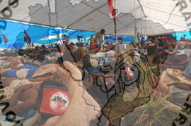 [Título n/d] : lote nº 002, pasta nº 000045, doc. nº 000365 [imagem] / Fotógrafo(a) : [autoria n/d].