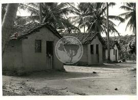 Projeto do Assentamento "Mucato" do MST (Alhandya-PB, mar. 1988) [fotografia] / Fotógrafo(a) : Milton Soares. -- Ref.: BR-SPMST_MST-SN-CIN_AMP_000334-001605-ASS.