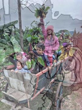 [Título n/d] : lote nº 002, pasta nº 000025, doc. nº 000020 [imagem] / Fotógrafo(a) : [autoria n/d].