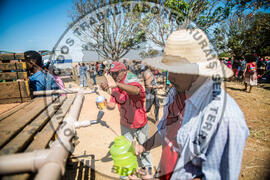 [Título n/d] : lote nº 002, pasta nº 000112, doc. nº 000011 [imagem] / Fotógrafo(a) : [autoria n/d].