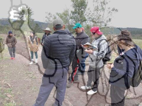 Original Objeto digital not accessible