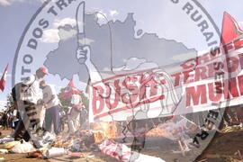 [Título n/d] : lote nº 002, pasta nº 000044, doc. nº 000488 [imagem] / Fotógrafo(a) : [autoria n/d].