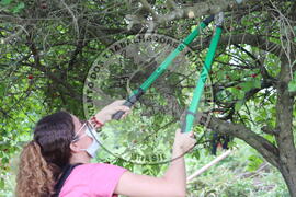 [Título n/d] : lote nº 002, pasta nº 000014, doc. nº 000266 [imagem] / Fotógrafo(a) : [autoria n/d].