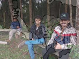 [Título n/d] : lote nº 002, pasta nº 000033, doc. nº 000005 [imagem] / Fotógrafo(a) : [autoria n/d].