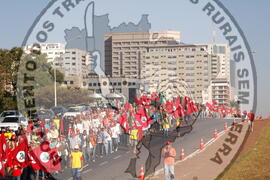 [Título n/d] : lote nº 002, pasta nº 000063, doc. nº 000043 [imagem] / Fotógrafo(a) : [autoria n/d].