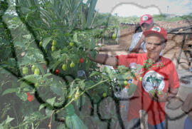 [Título n/d] : lote nº 002, pasta nº 000074, doc. nº 000304 [imagem] / Fotógrafo(a) : [autoria n/d].