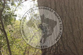 [Título n/d] : lote nº 002, pasta nº 000008, doc. nº 000029 [imagem] / Fotógrafo(a) : [autoria n/d].