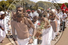 [Título n/d] : lote nº 002, pasta nº 000044, doc. nº 000534 [imagem] / Fotógrafo(a) : [autoria n/d].