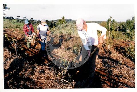 Original Objeto digital not accessible