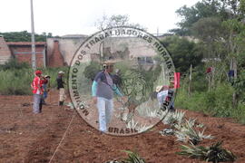 [Título n/d] : lote nº 002, pasta nº 000014, doc. nº 000193 [imagem] / Fotógrafo(a) : [autoria n/d].