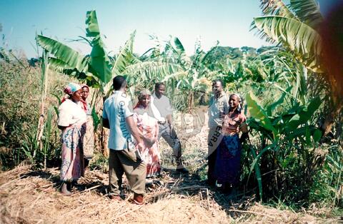 Original Objeto digital not accessible