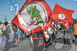 [Título n/d] : lote nº 002, pasta nº 000111, doc. nº 000010 [imagem] / Fotógrafo(a) : [autoria n/d].