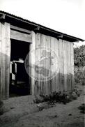 Cooperativa CATROC - Departamento Santa Bárbara (Honduras, [sem data]) [fotografia] / Fotógrafo(a) : Mara. -- Ref.: BR-SPMST_MST-SN-CIN_AMP_001108-009167-RIT.