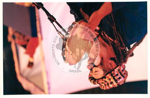 Original Digitaal object not accessible